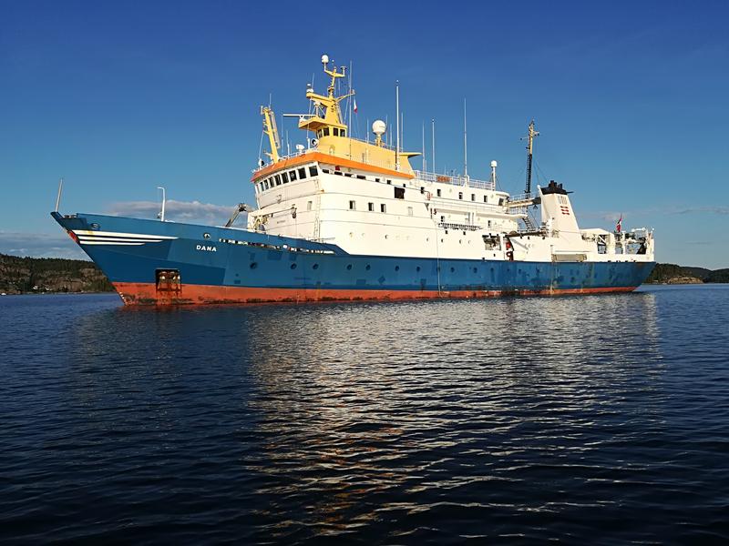 Auf dem dänischen Forschungsschiff DANA untersuchen 20 Wissenschaflterinnen und Wissenschaftler im Projekt ECOTIP die grönländische Westküste.  