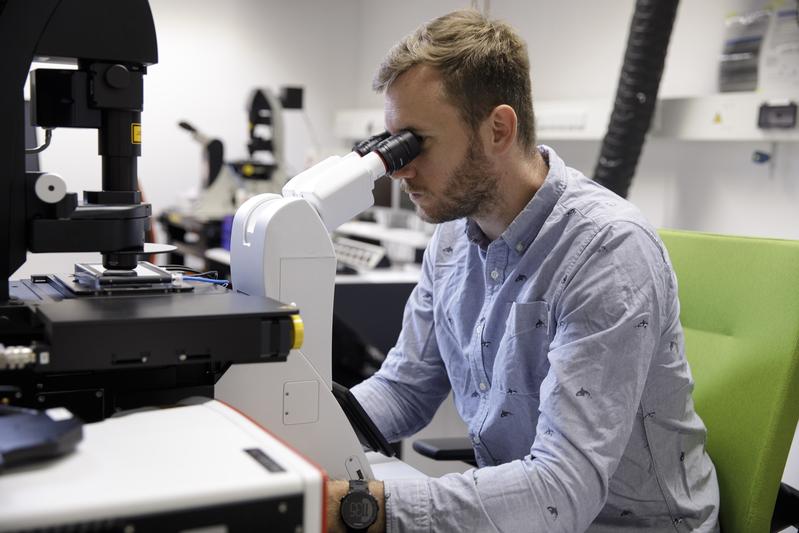 Lead author Benedikt Buchmann at the microscope. Through time-resolved observation of the cells, the research team was able to investigate the interactions between the organoid cells and the surrounding collagen in detail.