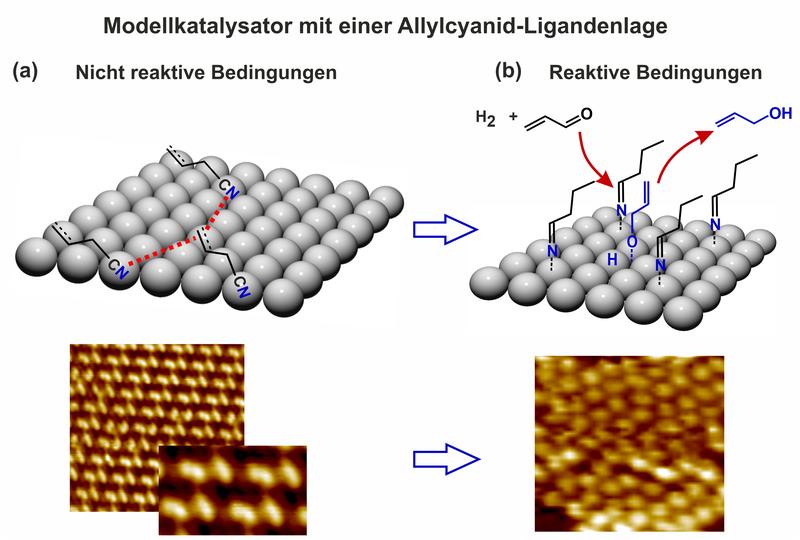 Das Modell zeigt, wie sich die chemische Zusammensetzung der Ligandenlage unter reaktiven Bedingungen verändert und so die Entstehung von Propenol begünstigt. 