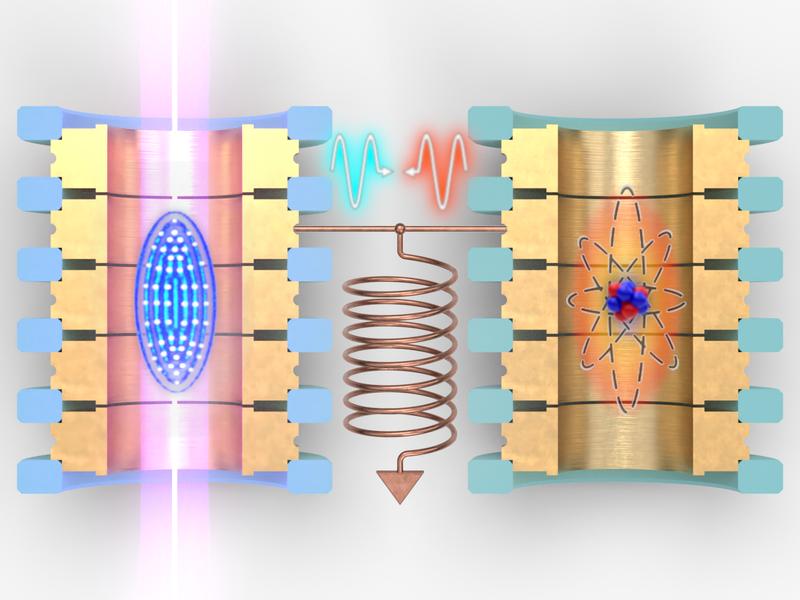 Resonant coupling of a single ion (right) and a laser-cooled ensemble of ions (left) in Penning traps via a slightly detuned resonator.