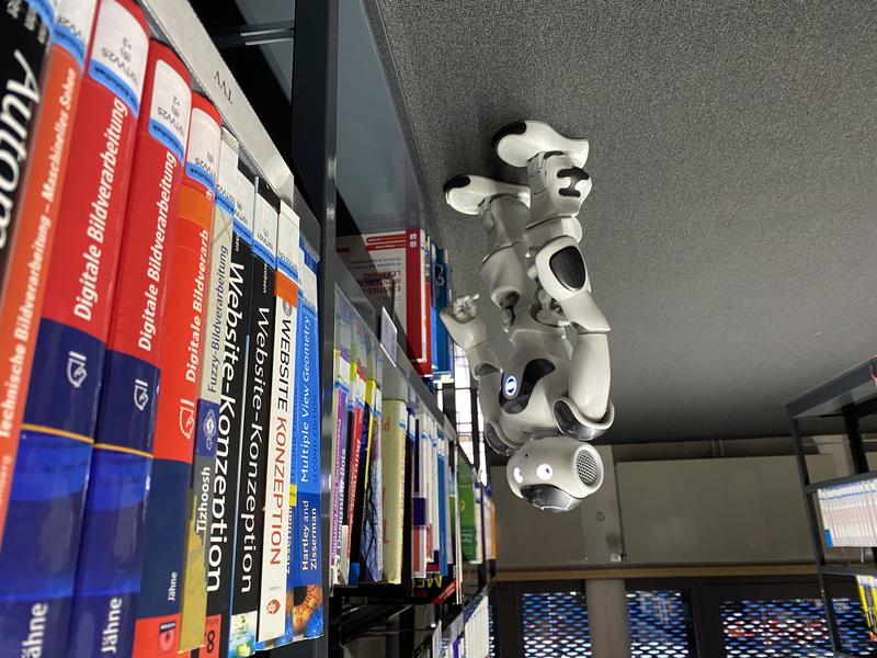 Der soziale Roboter kann in Bibliotheken unterstützen. 