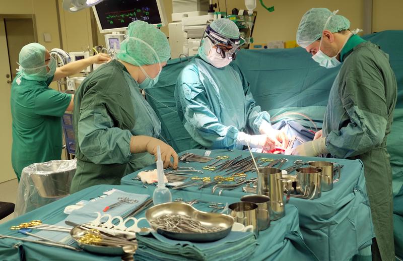 Herzoperation im OP-Saal des Herz- und Diabeteszentrum NRW, Bad Oeynhausen