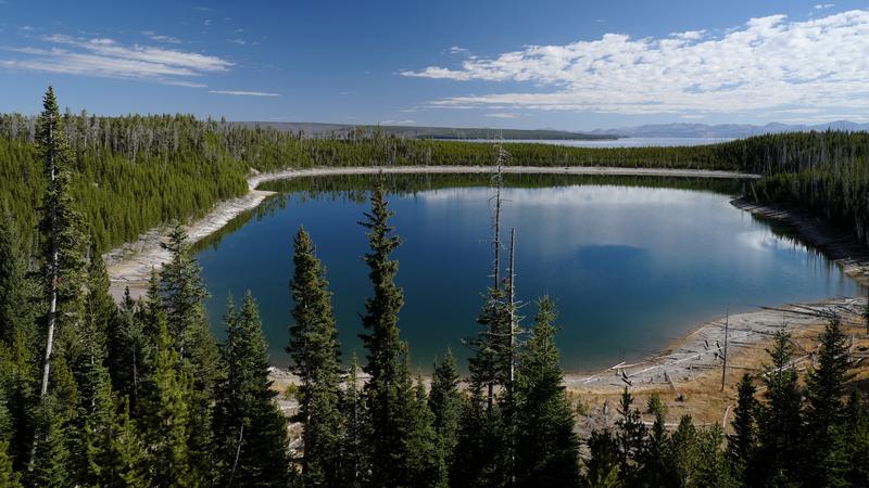 Die ikonische Landschaft des Yellowstone National Park ist durch ausgedehnte, vom Menschen unberührte Wälder gekennzeichnet und durch zunehmende Waldbrände im Klimawandel bedroht. 