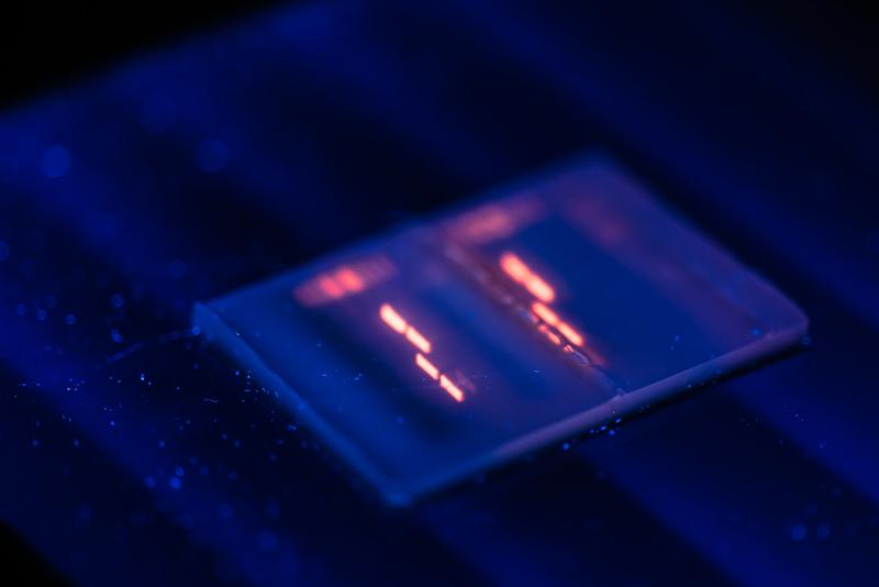 Symbol picture: visualisation of genetic material in an agarose gel