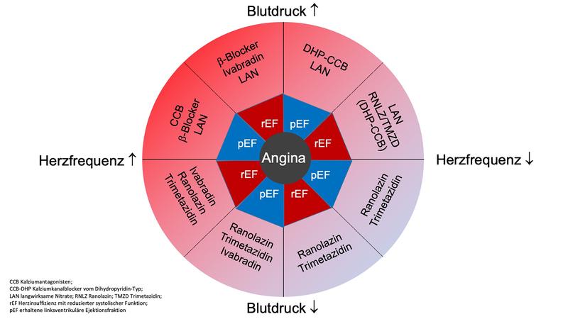 Der antianginale Kompass empfiehlt Medikamente für Patienten mit chronischem Koronarsyndrom mit und ohne Herzinsuffizienz. 