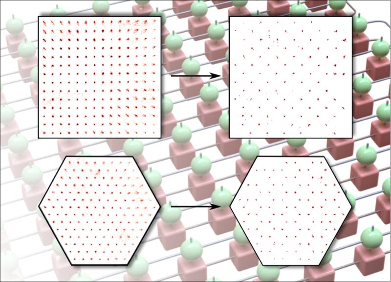 Rubidium-Atome in einem Quadratgitter (oben) und Dreiecksgitter (unten). Konfiguration am Beginn (links) und Ende des Experiments (rechts). Die Atome bilden antiferromagnetische Zustände mit charakteristischen Strukturen.