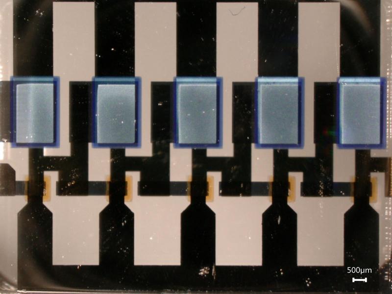 Image of a 5-stage complementary ring-oscillator composed of organic permeable base transistors. Copyright: Erjuan Guo