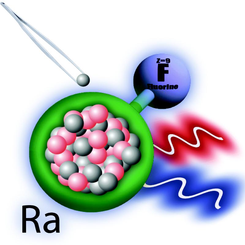 Fügt man zusätzliche Neutronen zum Radiumkern in einem Radiumfluoridmolekül hinzu, so verschieben sich die Energieniveaus, fand ein internationales Team um den Marburger Chemietheoretiker Robert Berger heraus.