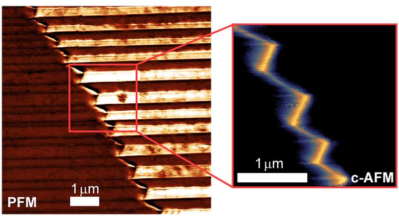 Links: Bild einer piezoelektrischen Rasterkraftmikroskopiemessung, die eine zick-zack-förmige Domänenwand in GaV4S8 zeigt. Rechts: Bild einer Leitfähigkeits-Rasterkraftmikroskopiemessung, die die Leitfähigkeit der Domänenwände zeigt.