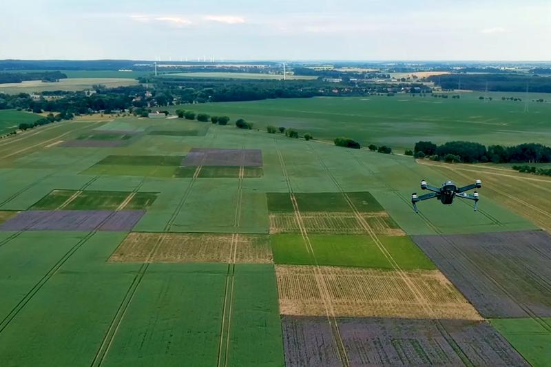 Kleine Feldgrößen und Pflanzenvielfalt sollen für mehr Biodiversität und stabile Erträge sorgen. Im Landschaftslabor „patchCROP“ des ZALF in Brandenburg wird gemeinsam mit einem Praxisbetrieb an einem nachhaltigen Anbausystem geforscht.