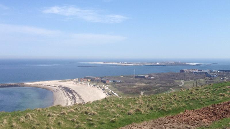 Sand gibt es genug auf der Nordseeinsel Helgoland. Und dennoch ist auf dem sandbedeckten Meeresboden der Wohnraum für neue Bakterienarten sehr begrenzt.