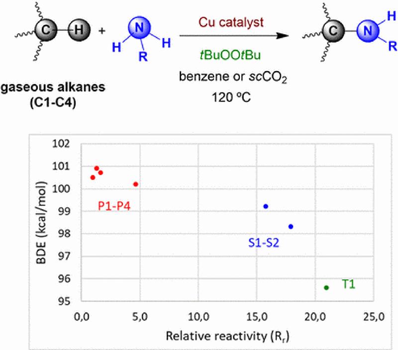 Amidierung leichter Alkane