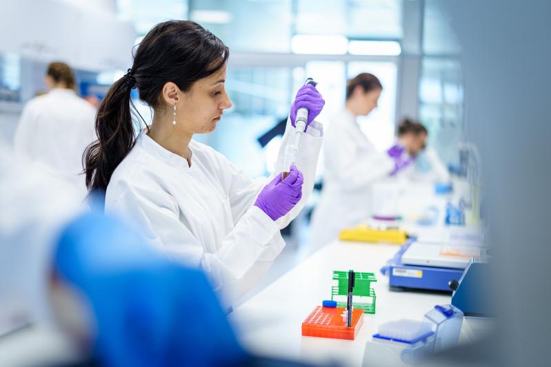 Im Labor untersuchen Wissenschaftler die Wirksamkeit verschiedener Substanzen an 3D-Zellkulturen. 