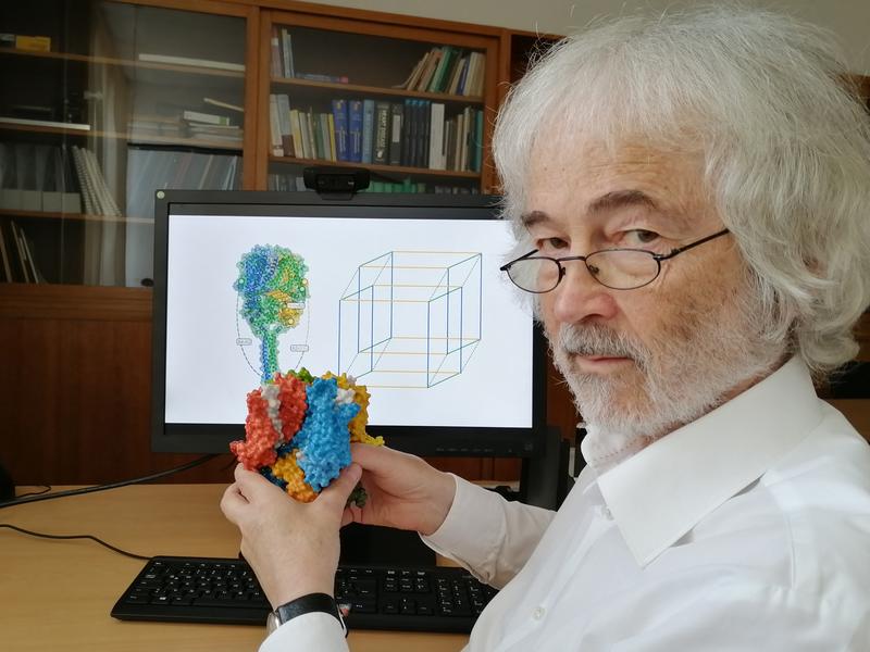 A research team led by Prof. Dr. Klaus Benndorf presents a method for a detailed analysis of the switching behavior of complex membrane receptors.