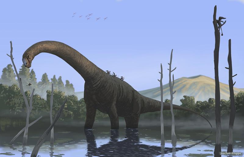 Illustration of the sauropod Patagosaurus fariasi.