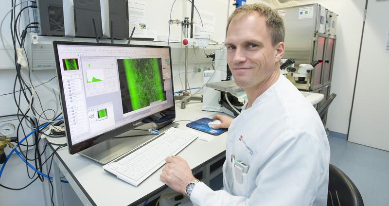 Die Arbeitsgruppe um Univ.-Prof. Dr. Philip Wenzel hat herausgefunden, dass das Protein TBCE einen wesentlichen Faktor für die Funktion des Endothels darstellt.