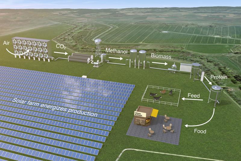 Ein neues Lebensmittelsystem, das die durch Sonnenenergie angetriebene mikrobielle Produktion einbezieht, könnte die Proteinversorgung erheblich steigern und gleichzeitig weniger Land verbrauchen.