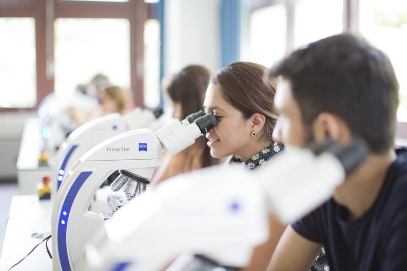 Der Bachelorstudiengang Molekulare Biologie vermittelt wichtiges Basiswissen aus Botanik, Ökologie, Biodiversität, Genetik, Humangenetik, Tier- und Pflanzenphysiologie, Biotechnologie, Mikrobiologie, Neurobiologie, Biophysik, Zoologie sowie Zellbiologie. 