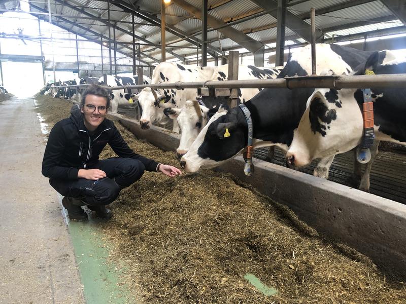 Master-Studentin Franziska Maria Wieneke im Kuhstall des Gutes Dummerstorf. 