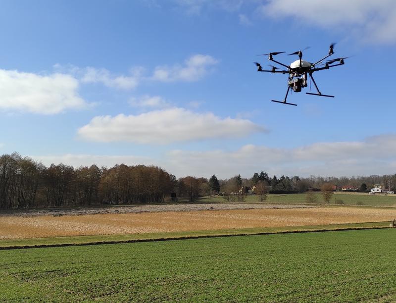 Drohnenflug mit Kamera über ein Weizenfeld im Fieldlab for Digital Agriculture des ATB am Standort Marquardt
