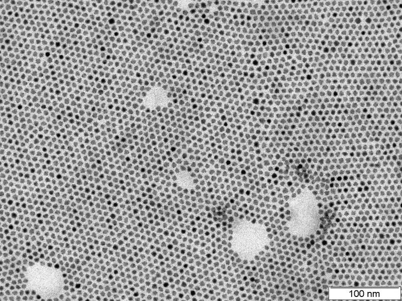 Die etwa acht Nanometer (millionstel Millimeter) kleinen Bleisulfid-Nanopartikel ordnen sich zunächst zu eine Schicht mit Sechseck-Symmetrie. 