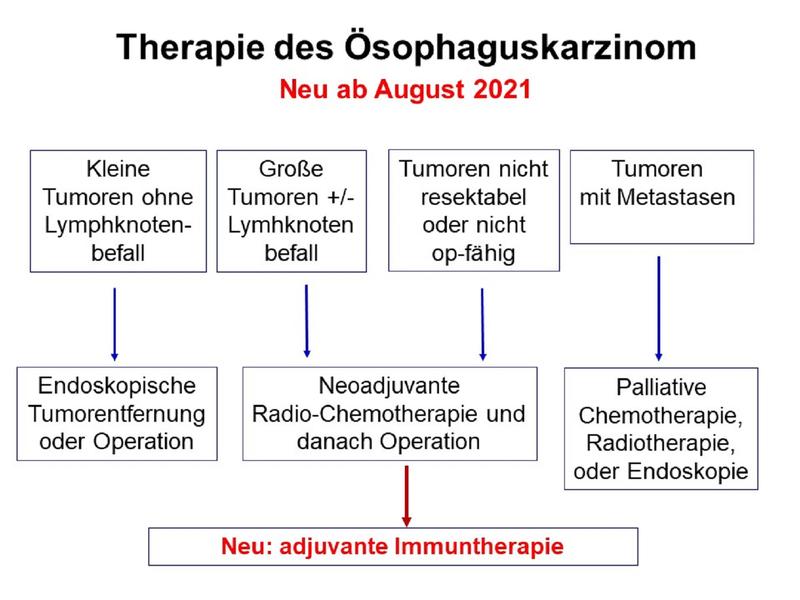 Das Konzept der multimodalen Therapie