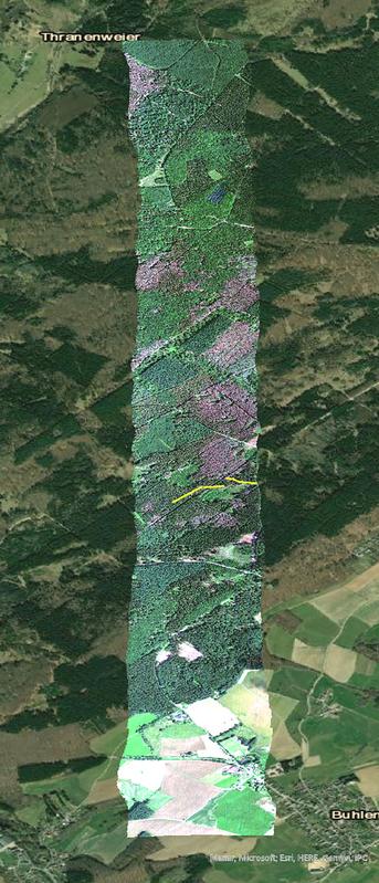 Die Aufnahme des AVIRIS-Flugs zeigt in Grün gesunde Wälder, in Braun zeichnen sich die bereits stark geschädigten Fichtenwälder ab. 