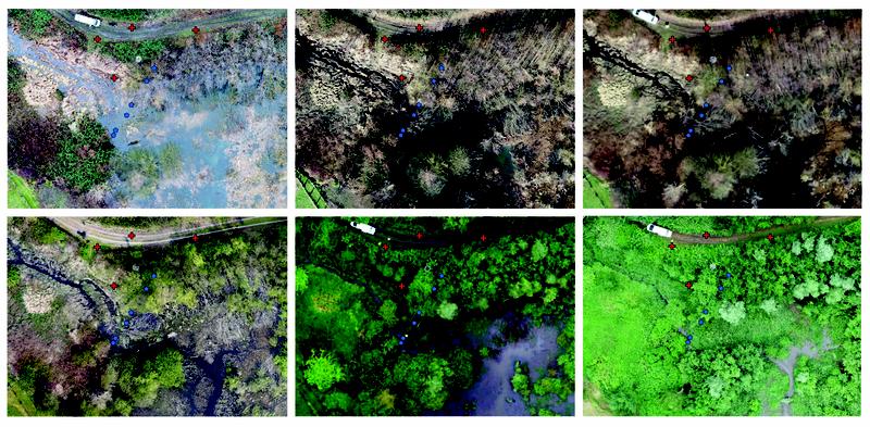 Diese multi-temporalen Drohnenaufnahmen zeigen ein Naturschutzgebiet an der Boye in Bottrop. Die blauen Punkte markieren die Bodensensoren
