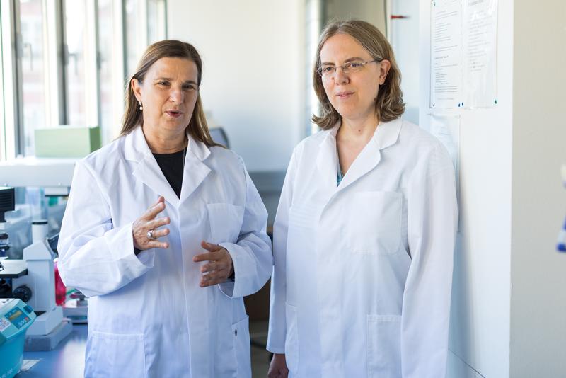 v.l.: Die Virologinnen Dorothee von Laer und Janine Kimpel