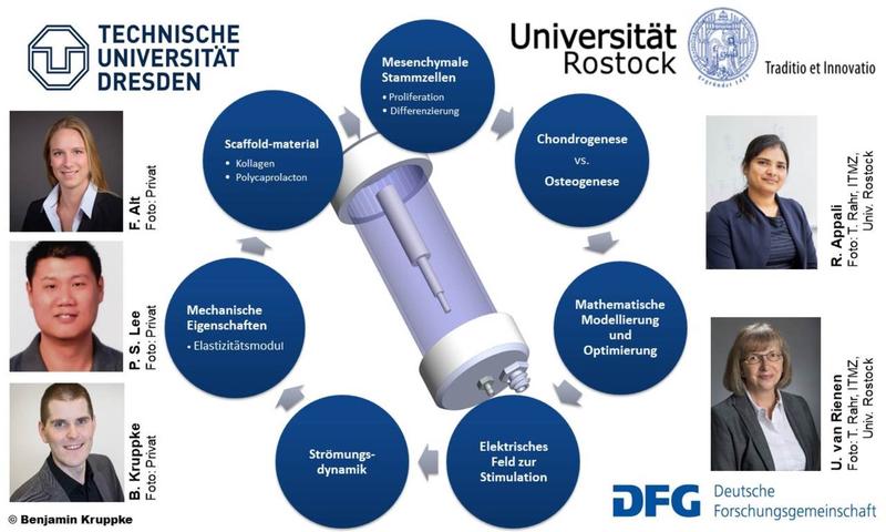 Übersichtsgrafik über die ineinandergreifenden, interdisziplinären Forschungsthemen des DFG-Projektes mit Fotos der beteiligten Forscherinnen und Forscher