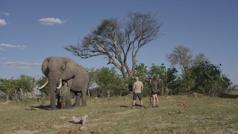 Angela Stöger bei der Datenaufnahmen im Rahmen dieser Studie in Botswana. (© Natalia Cerqueira) 