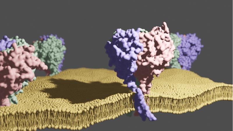 Image of an ion channel in magnification.