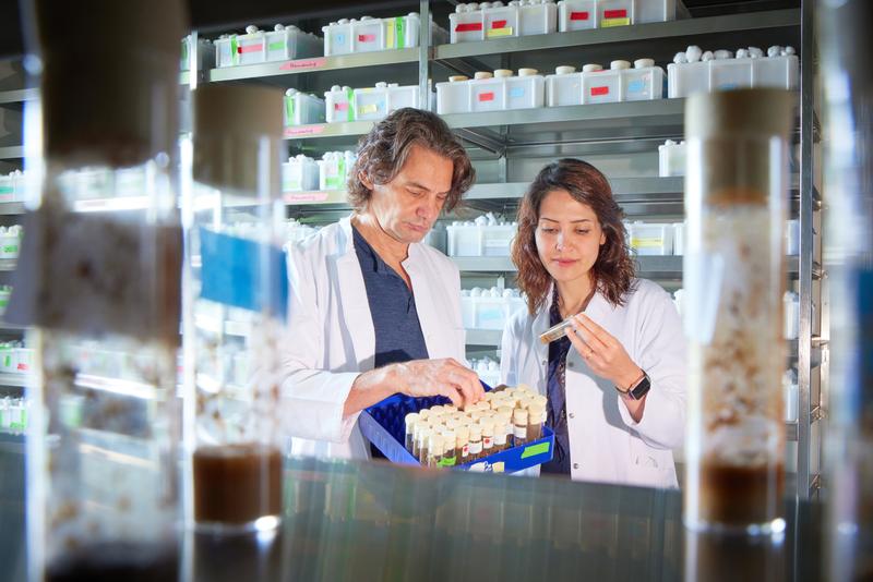 In the laboratory: first author Dr. Azadeh Izadifar and Prof. Dr. Dietmar Schmucker with culture vessels containing fruit flies.