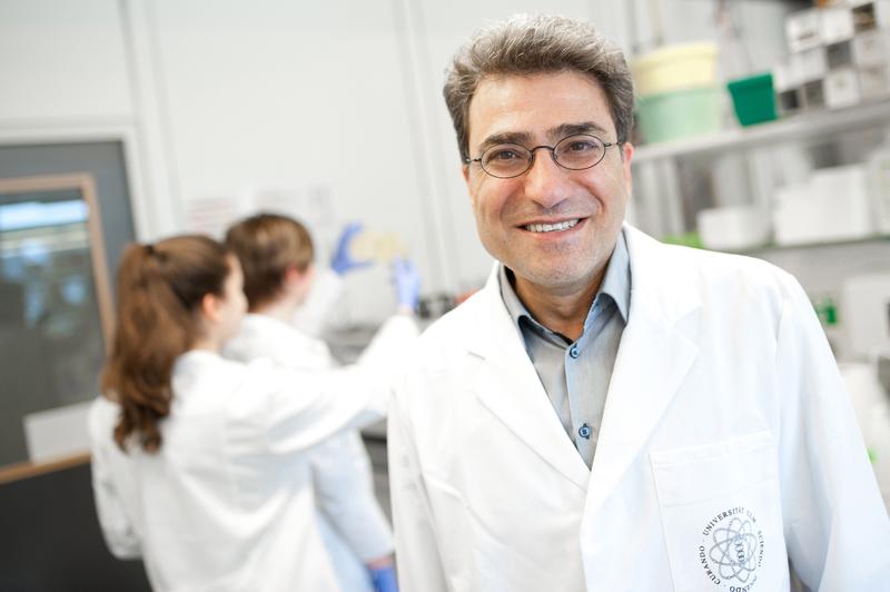 Prof. Hassan Jumaa leitet das Institut für Immunologie am Universitätsklinikum Ulm