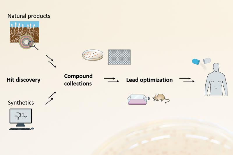 Der Weg zu neuen Antibiotika: von der Entdeckung neuer Wirkstoffe auf der Basis von Naturstoffen und synthetischen Substanzen über Optimierung der Wirkstoffkandidaten hin zum Medikament. 