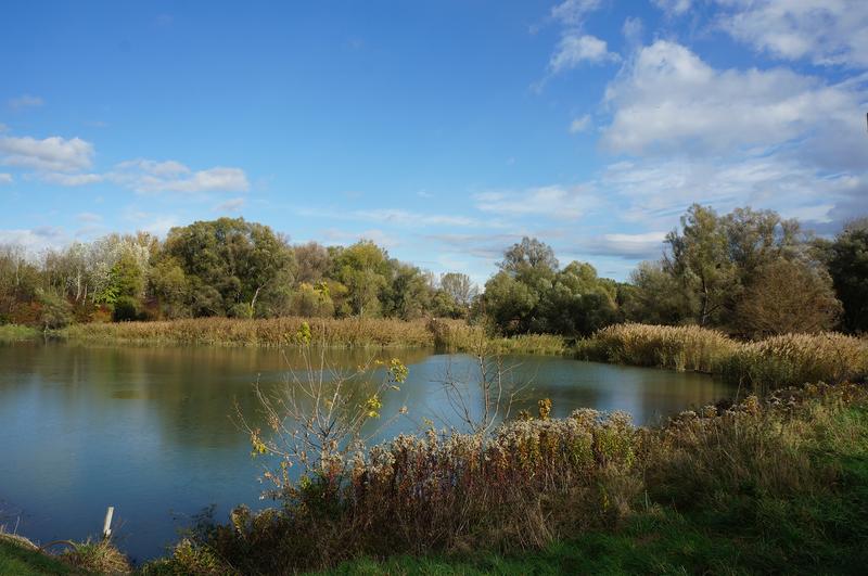 Zunehmende Extremwetterereignisse gefährden die Wasserqualität von Wasserressourcen in Schwemmlandgebieten. 