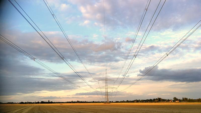 Die Grüne Finanzbranche ist im Aufwind. Der Bedarf an Expert*innen mit einem breiten Spezialwissen rund um Green Energy Finance wächst.