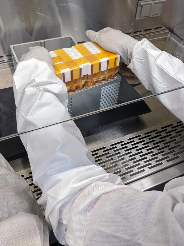 Die zuvor im Labor vorbereiteten menschlichen Stammzellen werden in den Bioreaktor CubeLab eingebracht.