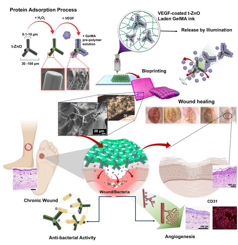 By irradiation with light the healing effect of the patch can be optimally adapted to the course of treatment of the individual patients. The antibacterial zinc oxide tetrapods, which react to light, are integrated into the patch during 3D printing.