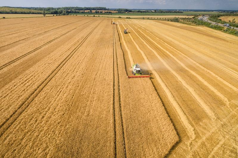 Ein neues Landwirtschaftsgesetz könnte für mehr Umweltverträglichkeit und Nachhaltigkeit sorgen.