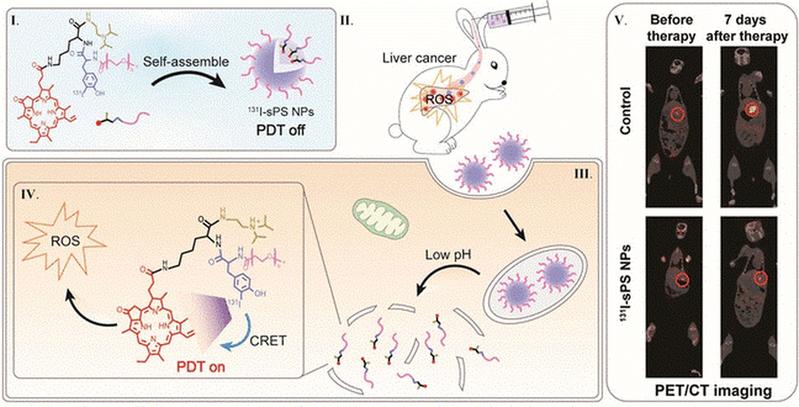 Tiefenwirksame photodynamische Therapie: Photosensibilisator beleuchtet sich selbst