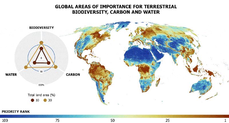 Global areas of importance for terrestrial biodiversity, carbon and water