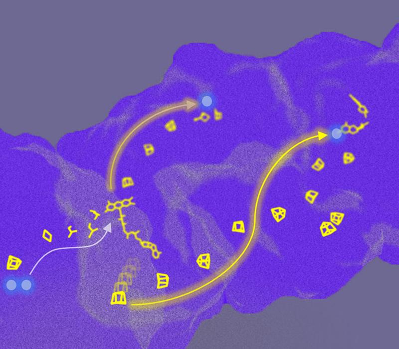 Der 3-MDa-Komplex weist einen komplexen Elektronentransferweg auf, bei dem eine Konformationsänderung den Elektronenfluss zum und vom Zentrum der Flavin-basierten Elektronenbifurkation (FBEB) steuert. 