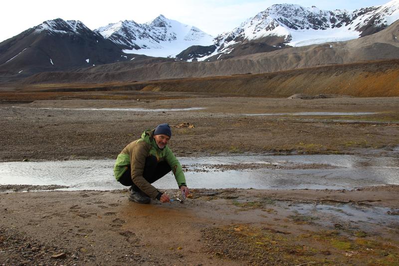 Professor Ulf Karsten bei der Probennahme von Kieselalgen-Biofilmen auf Sedimenten der Küste im Kongsfjorden nahe der arktischen Forschungsstation Ny-Ålesund, Spitzbergen. 
