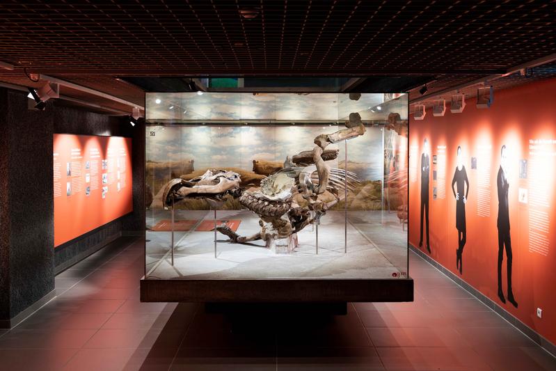 Die Kooperationsausstellung „Edmonds Urzeitreich – Eine Dino-Grabung in Frankfurt“ ist noch bis 24. Oktober 2021 im Senckenberg Naturmuseum Frankfurt zu sehen. 