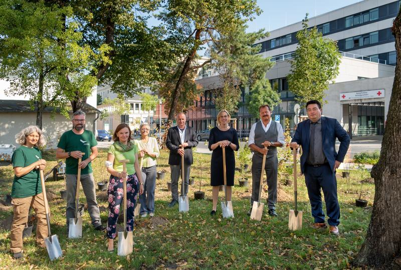 Auch die beiden Klinikumsvorstände Prof. Michael Albrecht (2.v.r.) und Frank Ohi (rechts) nahmen am 9. Umwelttag des Dresdner Uniklinikums einen Spaten in die Hand, um einige der über 100 Pflanzen im Rahmen der Aktion „Mein Baum – Mein Dresden“ zu setzen.