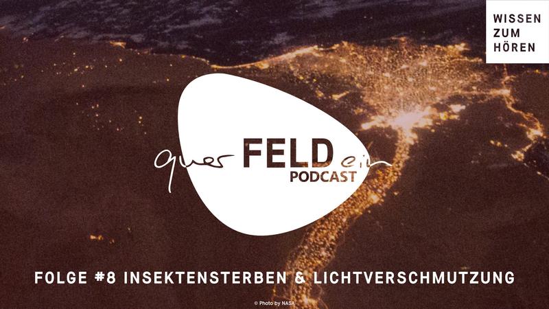 In Folge 8 des querFELDein-Podcast widmen sich die Moderatoren Julia Lidauer und Johann Neubert dem Thema Lichtverschmutzung.