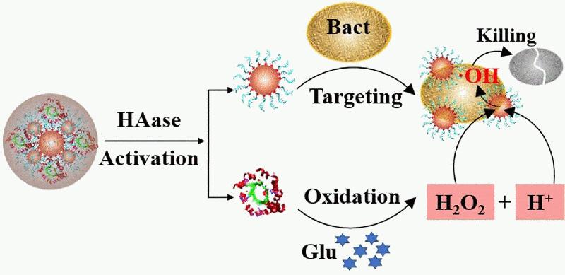 Antibakterielle Nanozyme