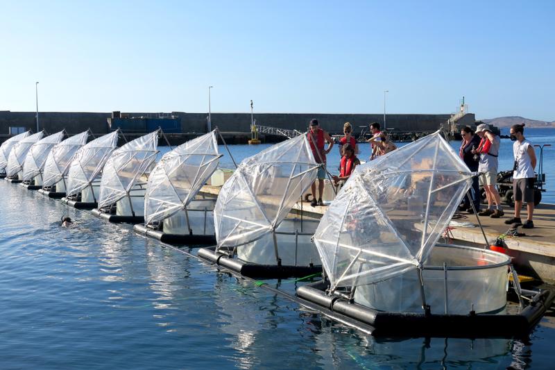 Die Mesokosmen werden für das Experiment des EU-Projekts Ocean-based Negative Emission Technologies (OceanNETs) auf Gran Canaria vorbereitet.