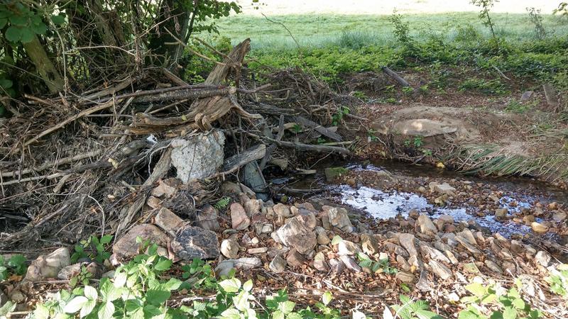 Holtzreste und mehr verstopfen einen kleinen Zufluss der Ahr